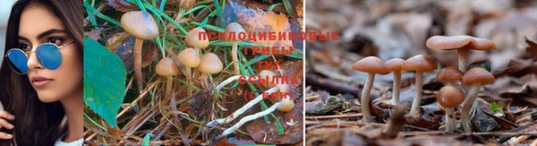 mdpv Армянск