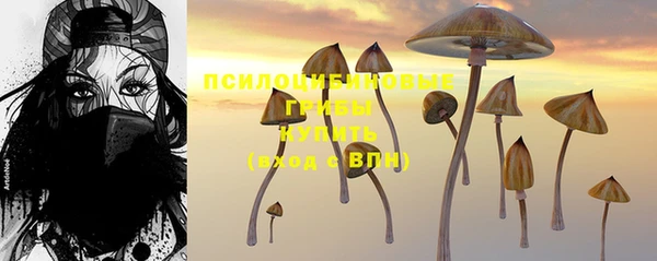 спиды Балабаново