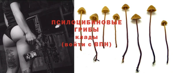 ПСИЛОЦИБИНОВЫЕ ГРИБЫ Аркадак